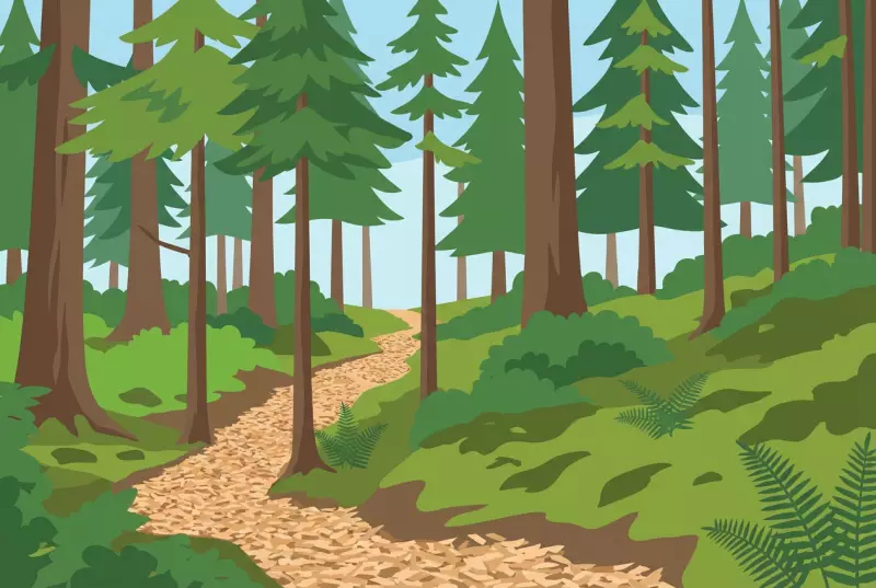 Sentier didactique de la forêt des Arses à Rougemont