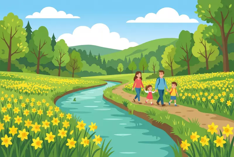 Illustration plate de Canal d'Entreroches pres d'Eclepens, sentier nature borde de jonquilles au printemps