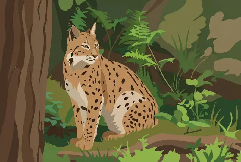 Parc zoologique alpin – Zoo des Marécottes (Valais)
