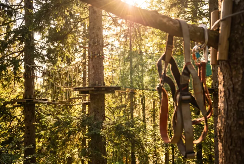 Accrobranche et parcs aventure : où grimper en famille en Suisse romande ?