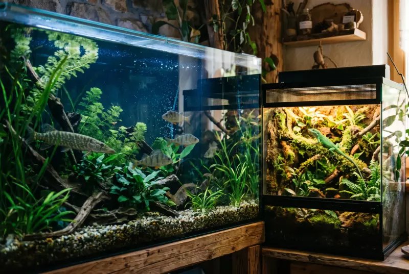 Aquariums et vivariums : où observer poissons, reptiles et papillons en famille ?