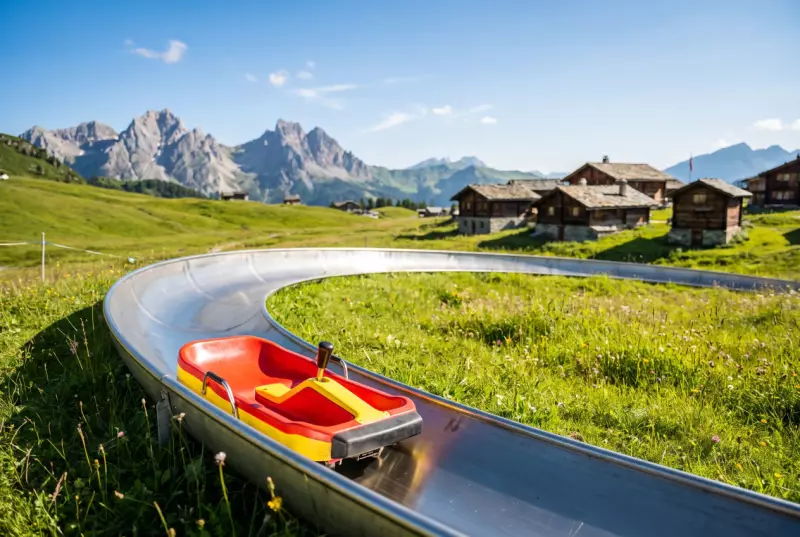 Luge d'été en Suisse romande : quel engin, dès quel âge, et où aller en famille