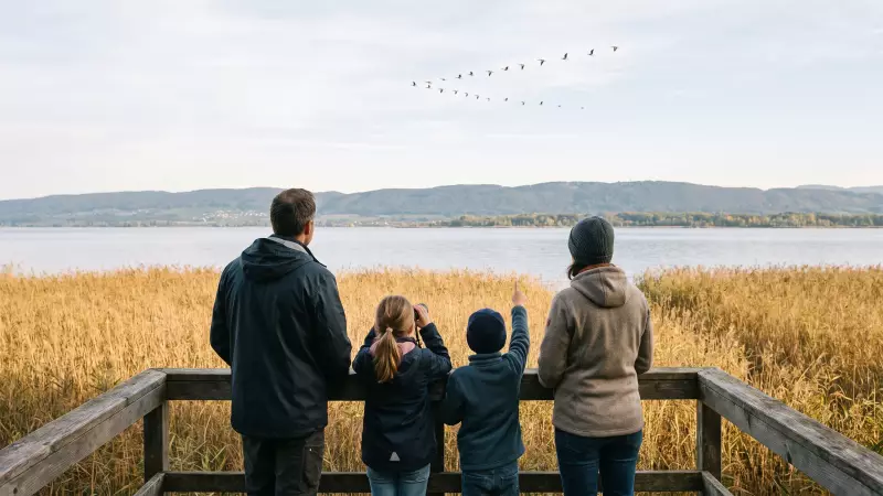 Une famille observe des oiseaux migrateurs au-dessus d’une roselière au bord du lac de Neuchâtel, en Suisse romande